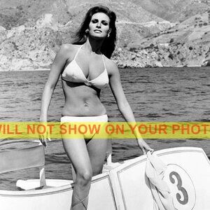 Photo Collectible Print 8x10 Hollywood Actress, Gorgeous Raquel Welch, No Tats!